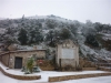 immagine505 immagine505