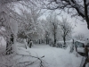 immagine508 immagine508