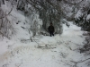 immagine515 immagine515