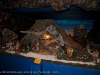 _RDM2917 _RDM2917