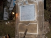 _RDM2956 _RDM2956